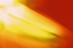 lichtgeschwind