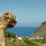 Senor schaut auf das Meer